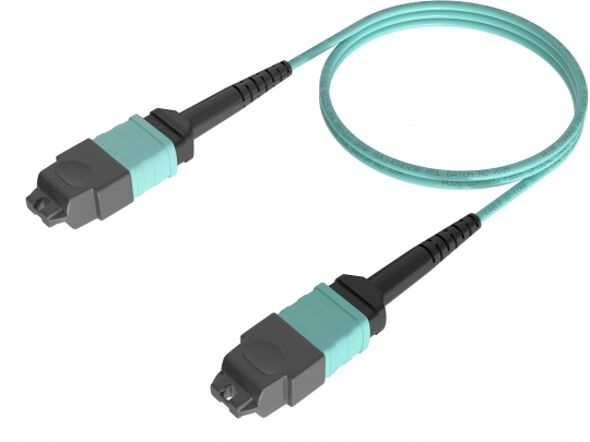 MM OM4 50/125(MTP-MTP 12C)