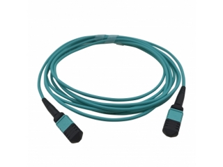 MM OM4 50/125(MPO-MPO 12C)